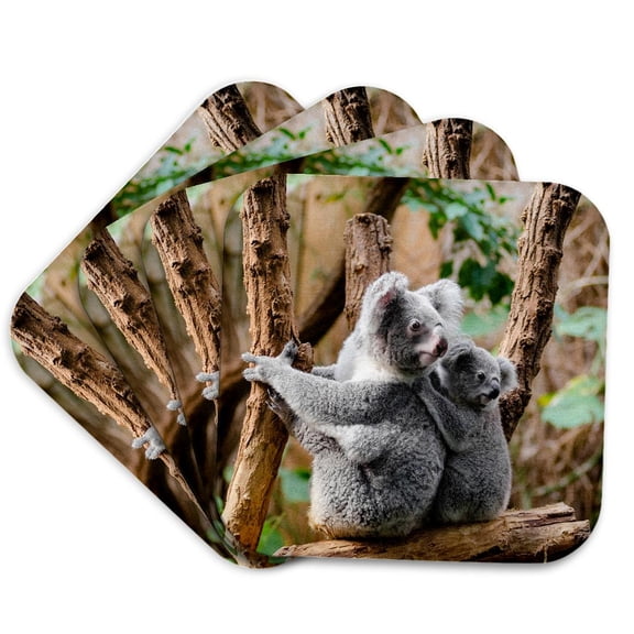 3dRose, Family Australia Koala Bear, set of 4 Coasters - Soft