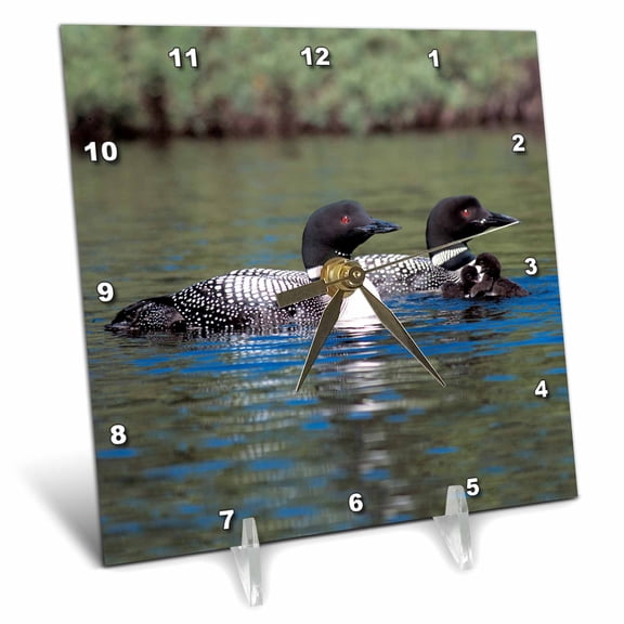 3dRose, Family of Three Loons, 6x6 Desk Clock