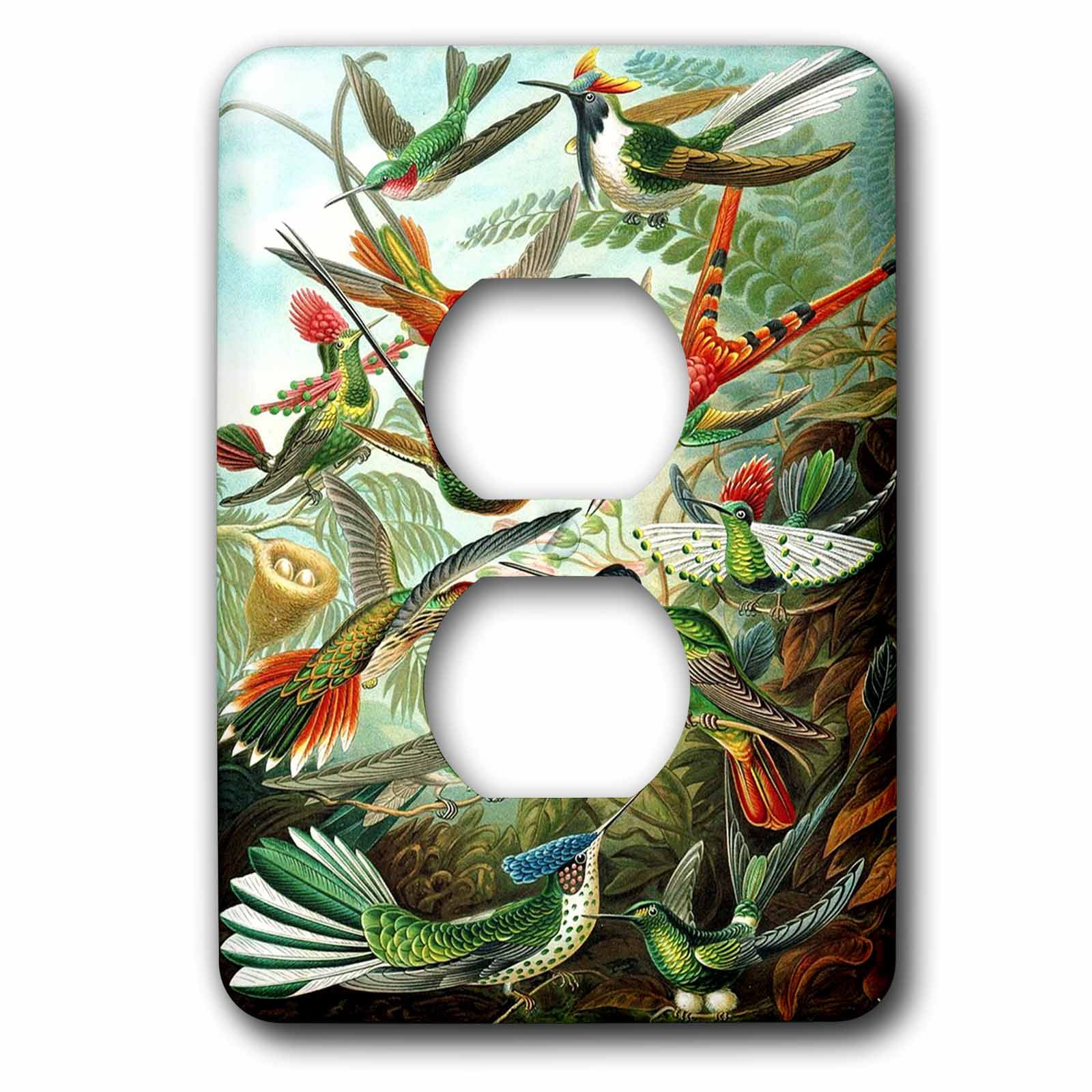 3dRose, Famous Biologist Sketch Of Hummingbirds 1904, 2 plug outlet cover