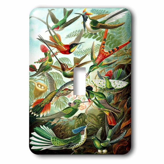 3dRose, Famous Biologist Sketch Of Hummingbirds 1904, single toggle switch