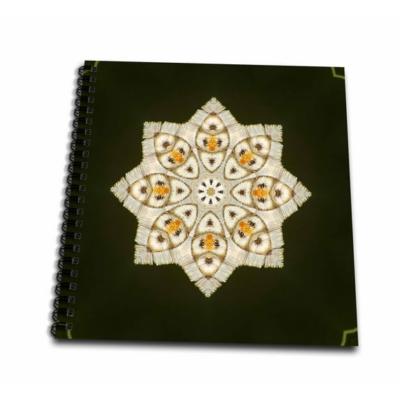 3dRose, Fancy Butterfly Big Star Kaleidoscope, Drawing Book 8 x 8 inch
