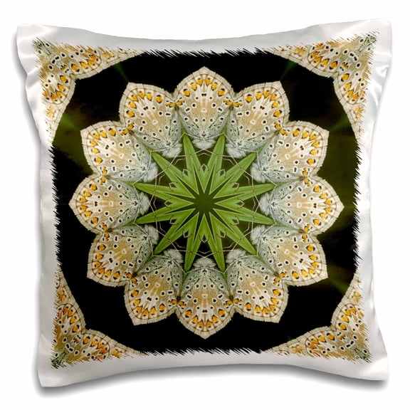 3dRose, Fancy Butterfly Kaleidoscope, 16x16 inch Pillow Case