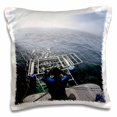 thumbnail image 1 of 3dRose, Farallon Islands Great white shark diving paradise San Francisco, California, United States, 16x16 inch Pillow Case, 1 of 1