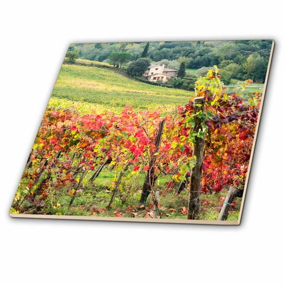 3dRose, Farm house and vineyard in Italy., 8 Inch Ceramic Tile