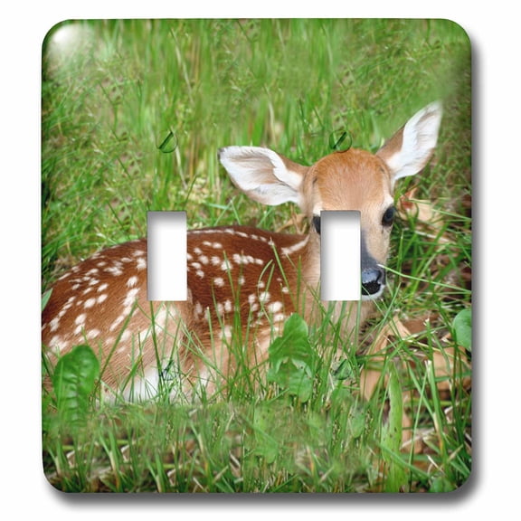 3dRose, Fawn, double toggle switch