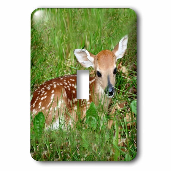 3dRose, Fawn, single toggle switch