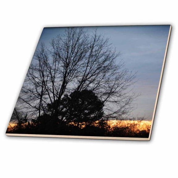 3dRose, February Morning this is a photo of a beautiful winter morning, 12 Inch Ceramic Tile