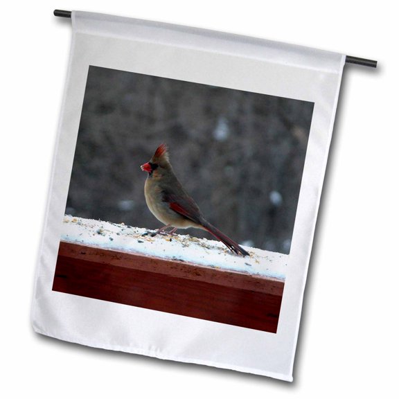 3dRose, Female Cardinal, 12 x 18 inch Garden Flag