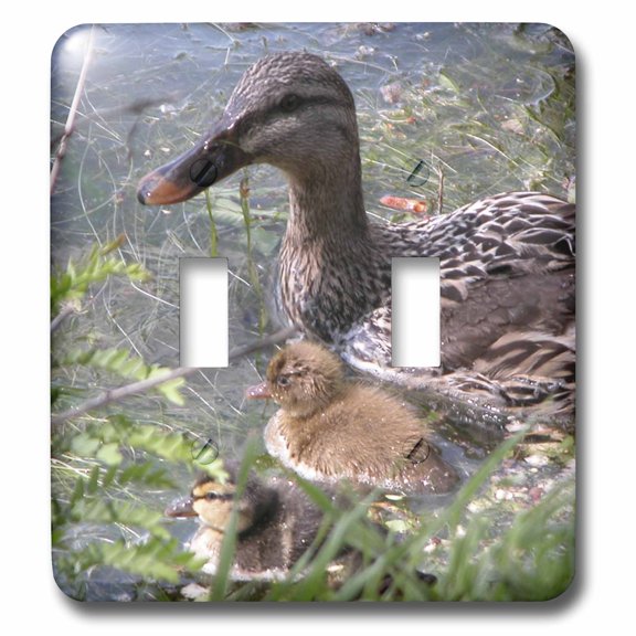 3dRose, Female Mallard Duck with Babies, double toggle switch