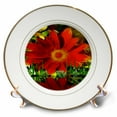 thumbnail image 1 of 3dRose, Feng Shui, 8 inch Porcelain Plate, 1 of 1