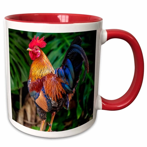 3drose, Feral Rooster, Kauai, Hawaii, Usa., 11oz Two-tone Red Mug
