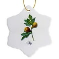 thumbnail image 1 of 3drose, Fig, Botanical Print of Fig Fruits on a Branch, 3 inch Snowflake Porcelain Ornament, 1 of 7