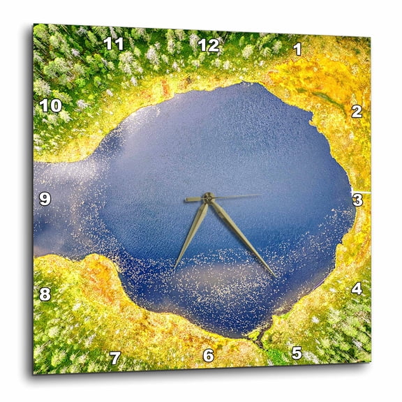 3drose, Finland, Hiidenportti Natl Park. Lake in Forest, Blooming Grass Rim., 10x10 Wall Clock