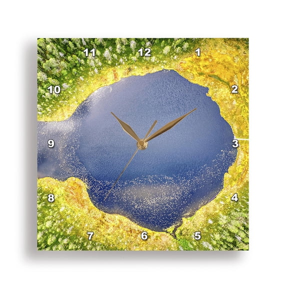3dRose, Finland, Hiidenportti Natl Park. Lake in forest, blooming grass rim., 15x15 Wall Clock