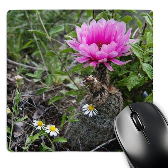 3dRose, Fitchs Hedgehog Cactus, Rio Grande, Texas, USA - US44 LDI0643 - Larry Ditto, MousePad