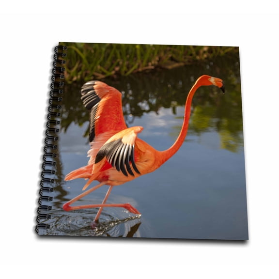 3dRose, Flamingo, Tropical bird, Dominican Republic - CA14 LEN0285 - Lisa S. Engelbrecht, Mini Notepad 4 x 4 inch