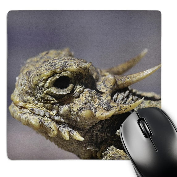 3dRose, Flat-tailed Horned Lizard, Phrynosoma mcalli, MousePad