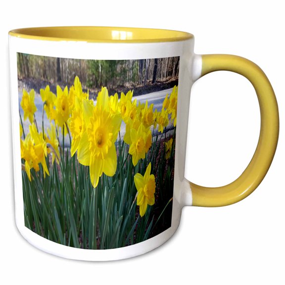 3drose, Floral Spring Summer Flowers Daffodils, 11oz Two-tone Yellow Mug