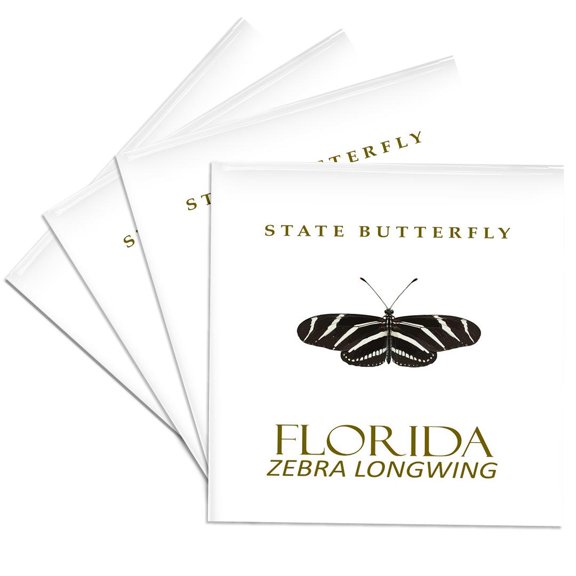 3drose, Florida Butterfly Zebra Longwing Design, Set of 4 Ceramic Tile Coasters