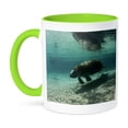 thumbnail image 1 of 3dRose, Florida, Crystal River. Florida Manatees - US10 RJA0014 - Rebecca Jackrel, 15oz Two-Tone Green Mug, 1 of 7