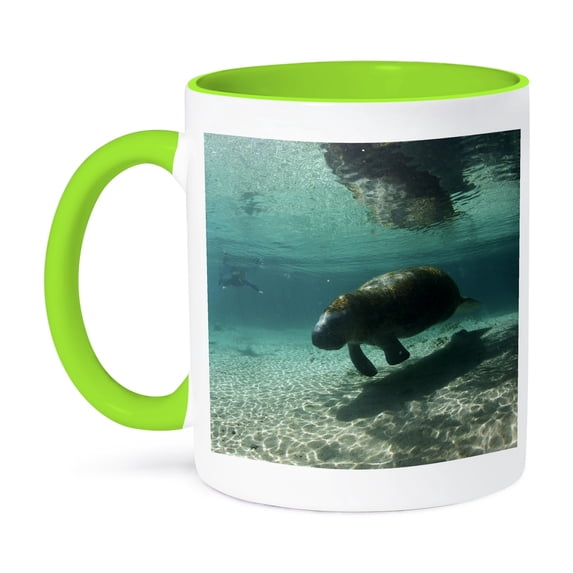 3dRose, Florida, Crystal River. Florida Manatees - US10 RJA0014 - Rebecca Jackrel, 15oz Two-Tone Green Mug