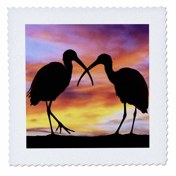 3dRose, Florida, Mt. Dora, ibis bird silhouettes - US10 DSN0012 - Deborah Sandidge, 6x6 inch quilt square