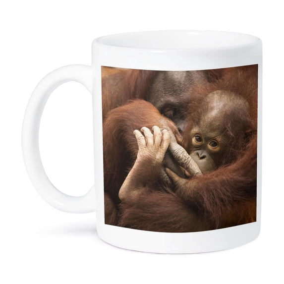 3dRose, Florida, Pensacola, Orangutans at zoo - US10 JWL0001 - Joanne Wells, 15oz Mug