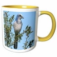 thumbnail image 1 of 3drose, Florida. Scrub Jay Bird - Na02 Aje0252 - Adam Jones, 11oz Two-tone Yellow Mug, 1 of 6