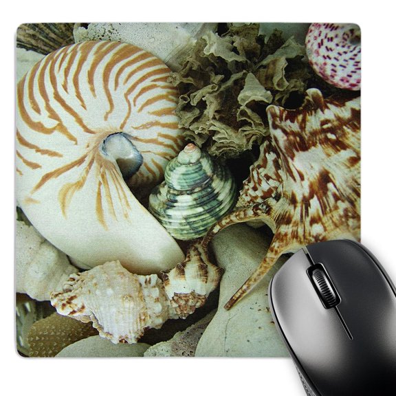 3dRose, Florida Sea Shells, MousePad