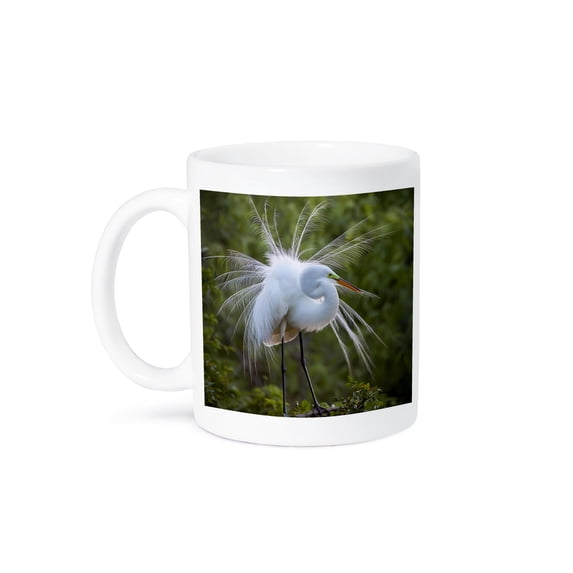 3drose, Florida, Venice. Great Egret in Breeding Plumage., 15oz Mug