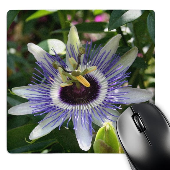 3dRose, Flower Passion Flower, MousePad