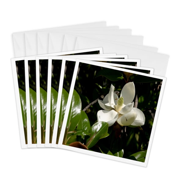 3drose, Flowers Pretty Magnolia Bloom, 6 Greeting Cards with Envelopes