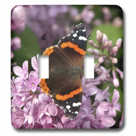 3dRose, Flying Flowers, Butterfly, double toggle switch