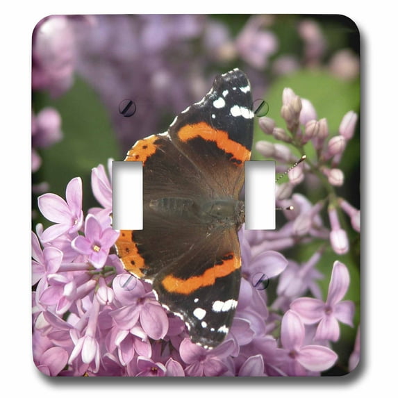 3dRose, Flying Flowers, Butterfly, double toggle switch