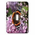 thumbnail image 1 of 3dRose, Flying Flowers, Butterfly, single toggle switch, 1 of 1