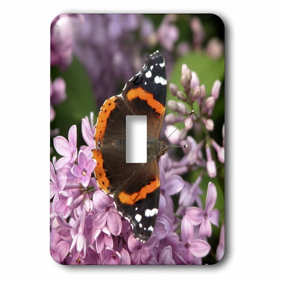 3dRose, Flying Flowers, Butterfly, single toggle switch