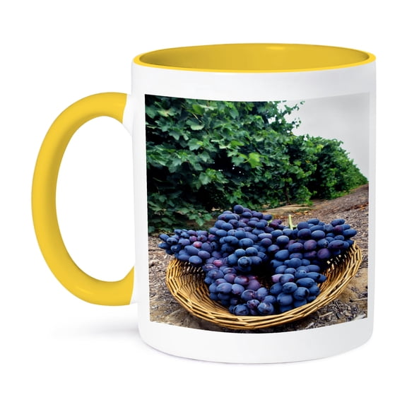3dRose, Food Fresh Juicy Purple Grapes Vineyard , 15oz Two-Tone Yellow Mug