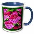 thumbnail image 1 of 3drose, Foxgloves, 11oz Two-tone Blue Mug, 1 of 6
