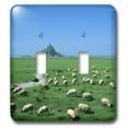thumbnail image 1 of 3dRose, France, Brittany, Mt Saint Michel, sheep farm animal - EU09 DBN0787 - David Barnes, double toggle switch, 1 of 1