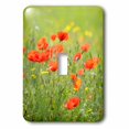 thumbnail image 1 of 3dRose, France, Provence, Cote dAzur, Lourmarin. Wild poppies, single toggle switch, 1 of 1