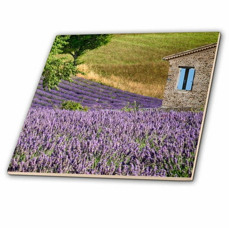 3dRose, France, Provence. Lavender fields near a home., 4 Inch Ceramic Tile