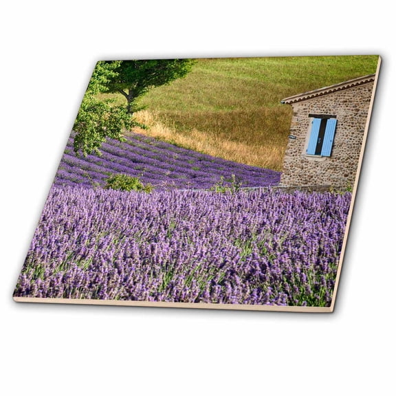 3dRose, France, Provence. Lavender fields near a home., 4 Inch Ceramic Tile