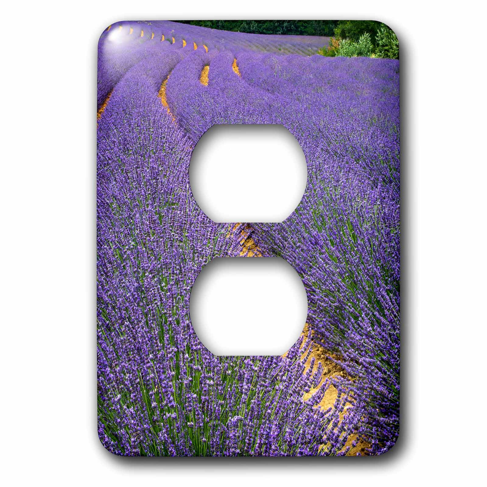3dRose, France, Provence, Roussillon, lavender, 2 plug outlet cover
