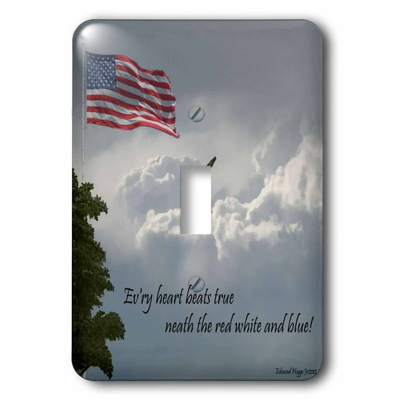 3dRose, Freedom Of The Red White and Blue, single toggle switch