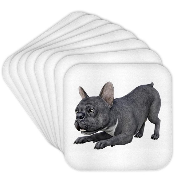 3drose, Frenchie Bulldog Blue and White Playing and Looking Right, Set of 8 Coasters - Soft