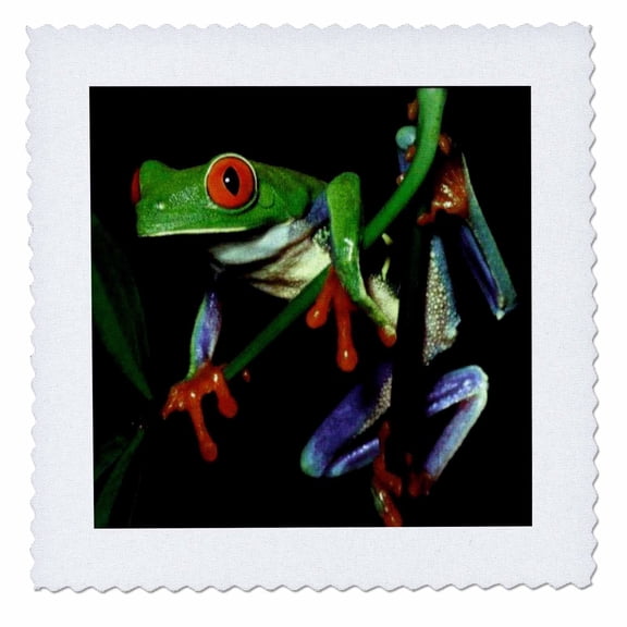 3dRose, Frog, 10x10 inch quilt square