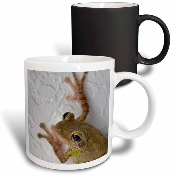 3drose, Frog Looking at Viewer, 11oz Magic Transforming Mug