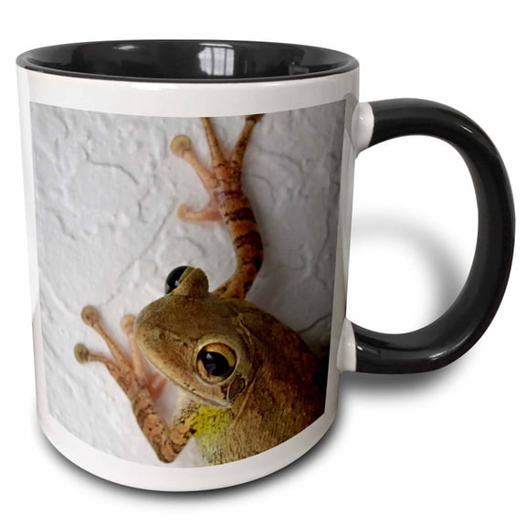 3drose, Frog Looking at Viewer, 11oz Two-tone Black Mug