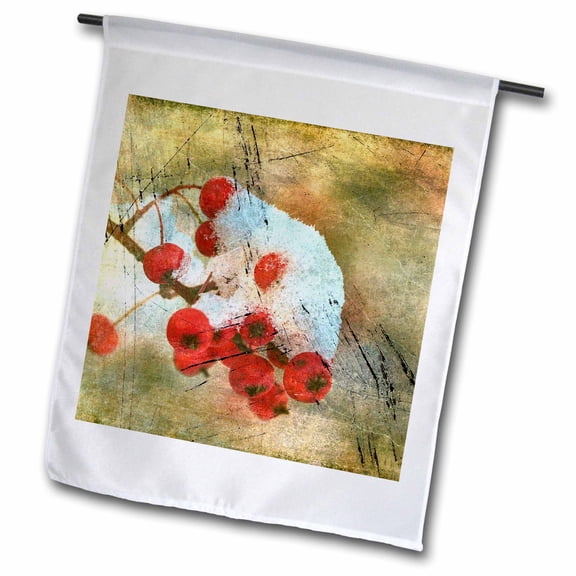 3dRose, Frozen Winter Berries Grunge, 12 x 18 inch Garden Flag