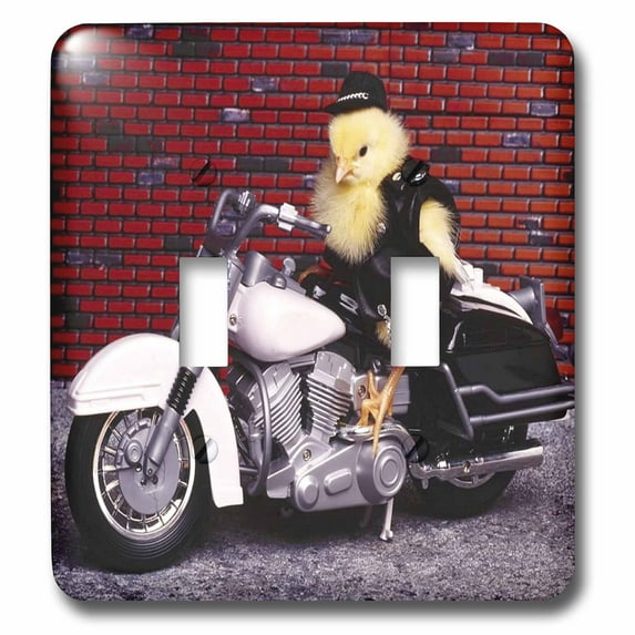 3dRose, Funny Biker Chick, double toggle switch